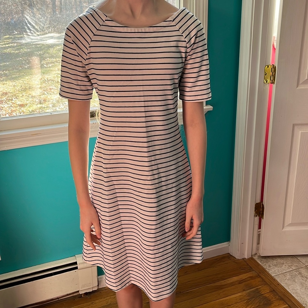 Zara Navy and White Breton Striped Dress Size M